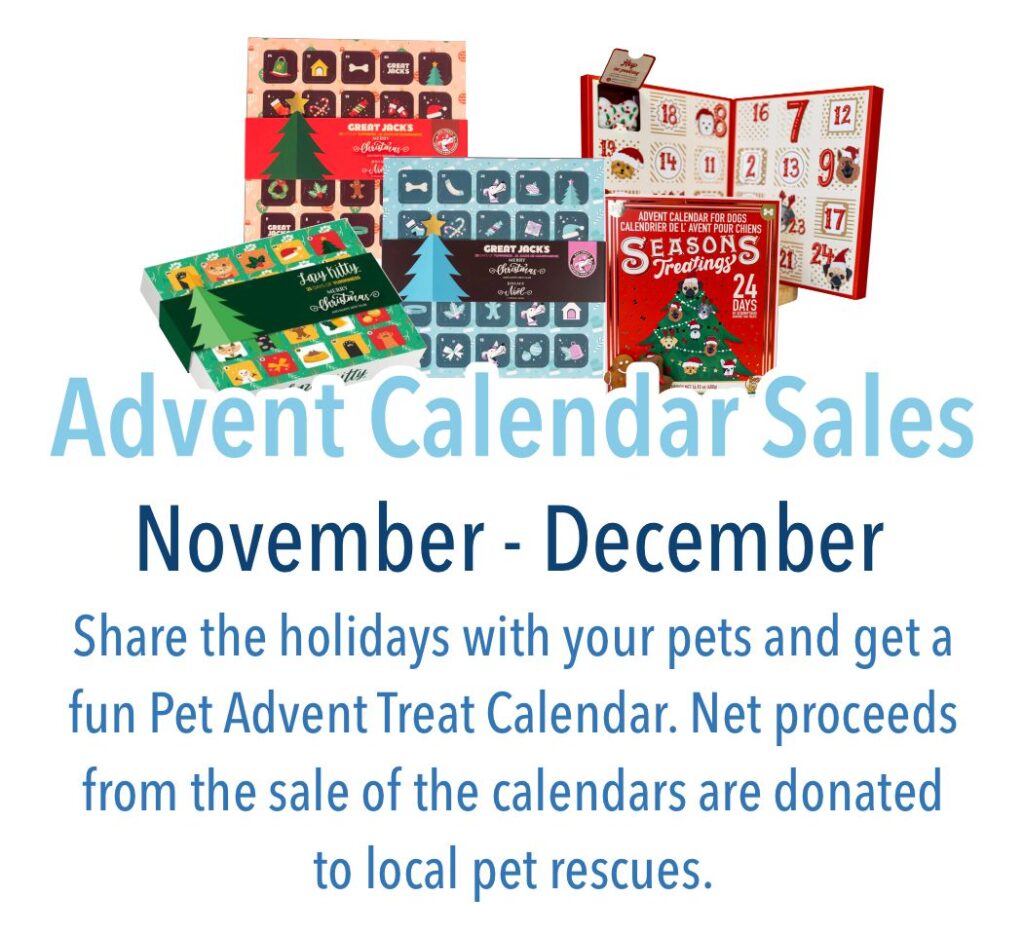 Blue Barn's Christmas advent calendar sales