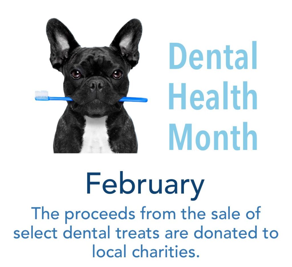 Blue Barn's dental health month